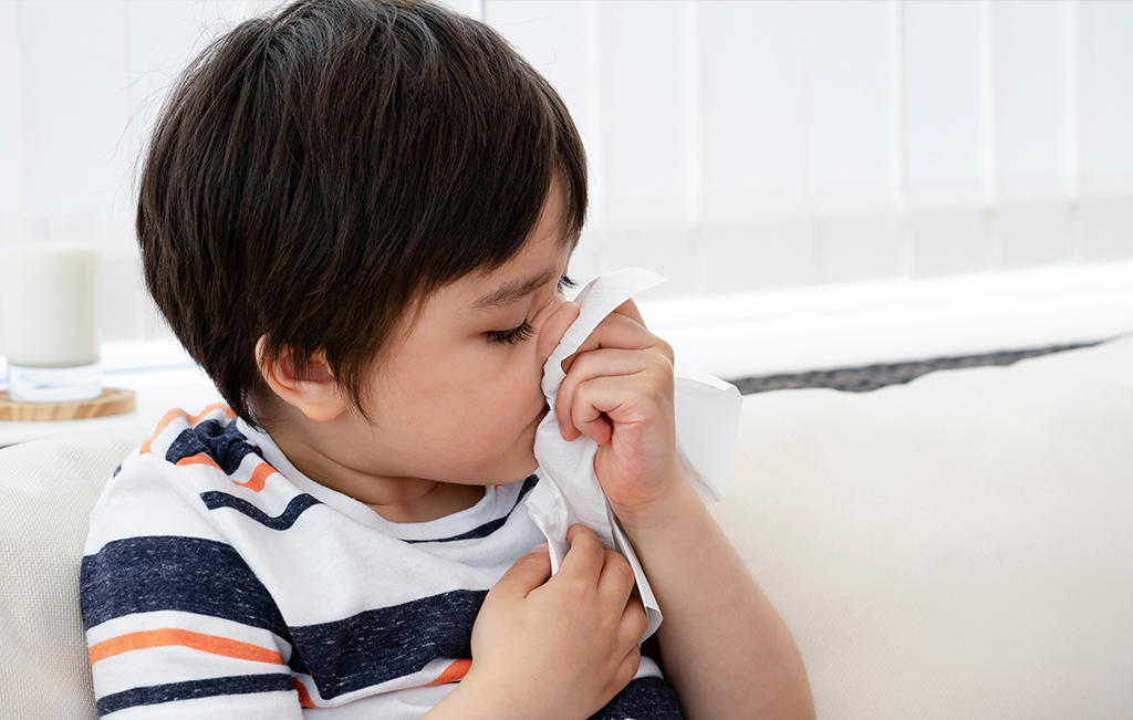 Reduce the risk of common cold and allergies