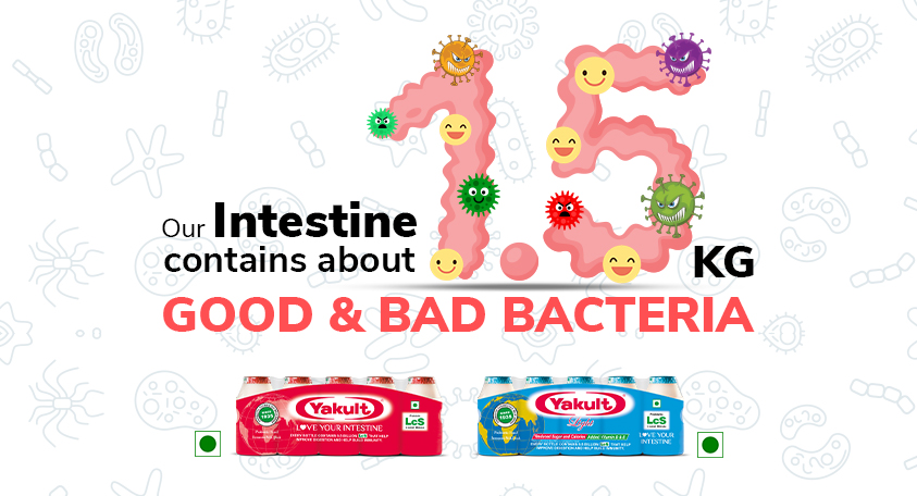 Intestine contains Good and Bad Bacteria